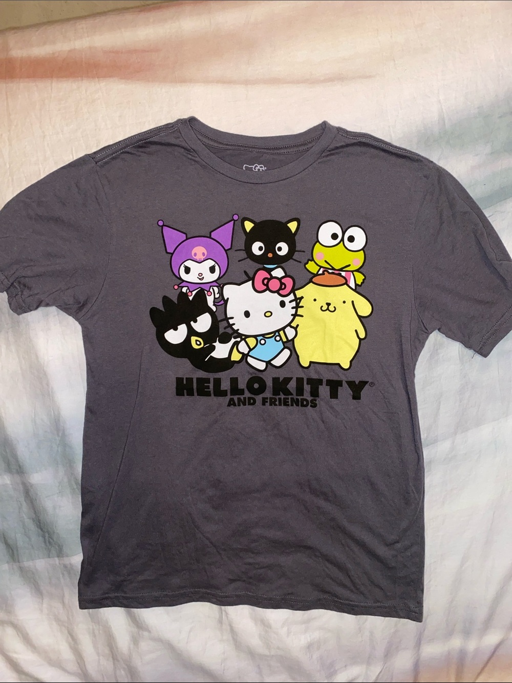Hello Kitty and Friends Gray Graphic Cat T-Shirt girls size XL